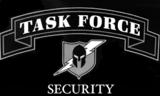 Logo for TASK FORCE PROTECTION LLC